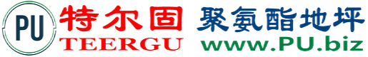 特尔固®项城聚氨酯地坪